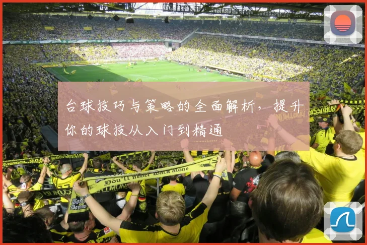 台球技巧与策略的全面解析，提升你的球技从入门到精通