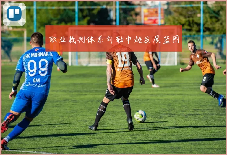 职业裁判体系勾勒中超发展蓝图