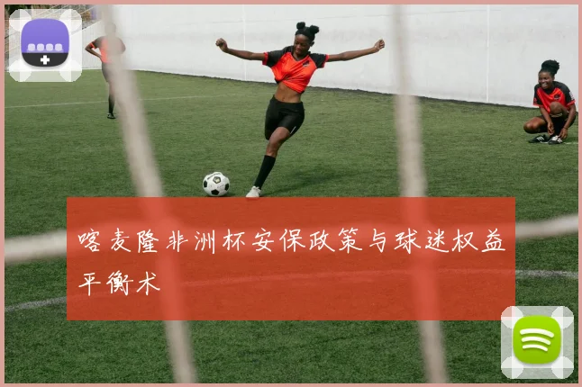 喀麦隆非洲杯安保政策与球迷权益平衡术