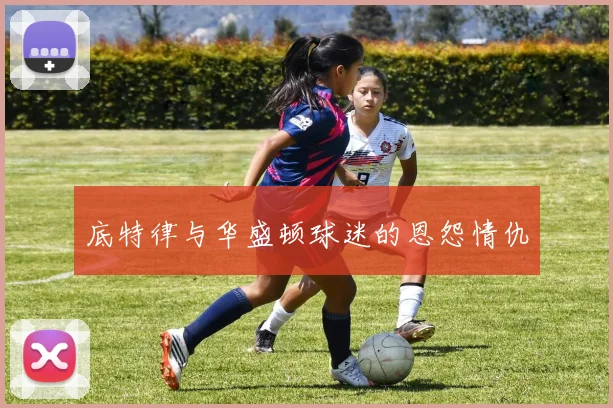 底特律与华盛顿球迷的恩怨情仇